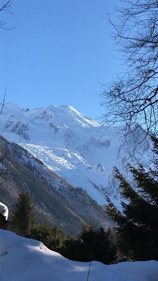 Appartement Chamonix Montblanc 1 A 4 Personnes מראה חיצוני תמונה