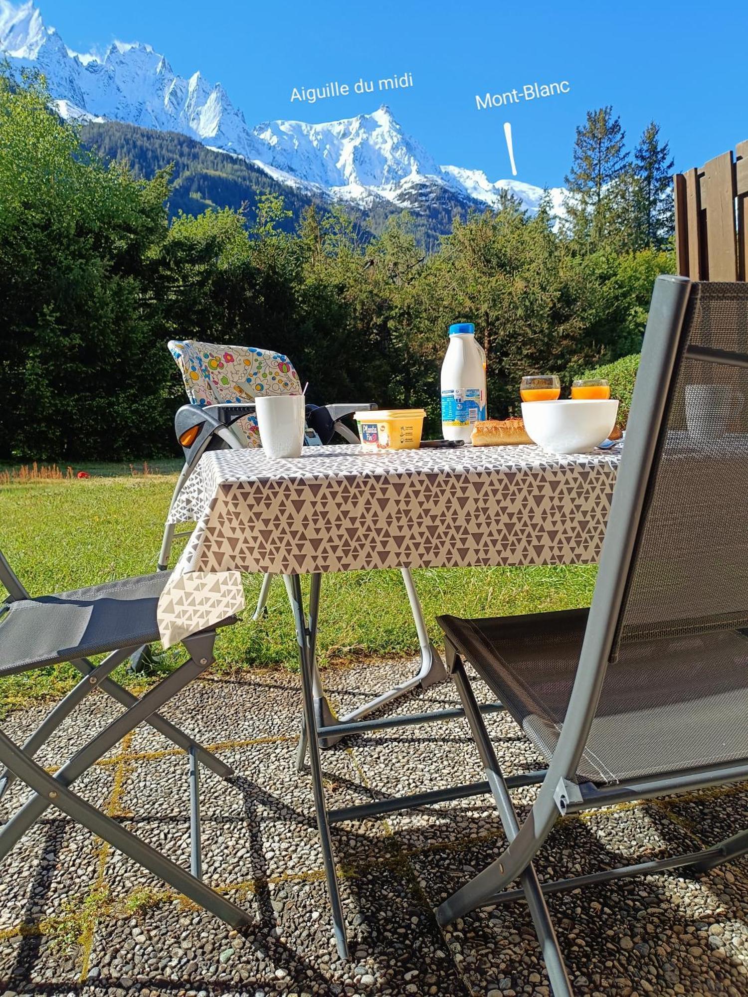 Appartement Chamonix Montblanc 1 A 4 Personnes מראה חיצוני תמונה